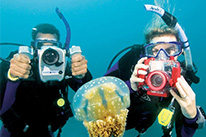 Специальность PADI Подводного цифрового фотографирования Hurghada