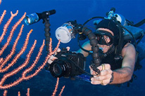 PADI Unterwasser-Videograf Spezialkurs Makadi