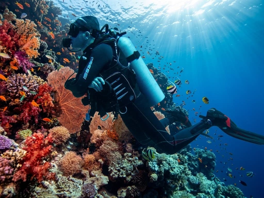 10 Days Dive Package